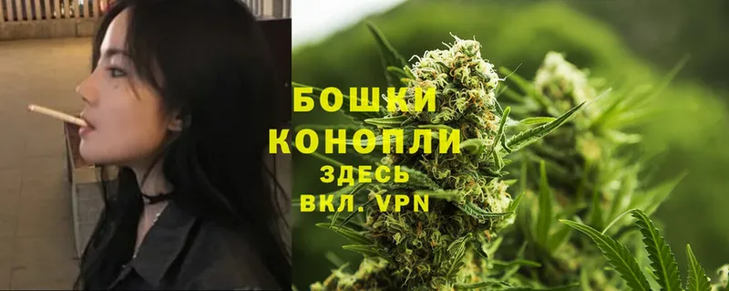 Конопля OG Kush  дарнет шоп  MEGA онион  Бокситогорск 